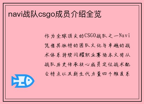 navi战队csgo成员介绍全览