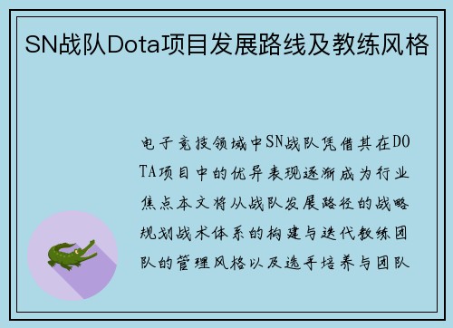 SN战队Dota项目发展路线及教练风格